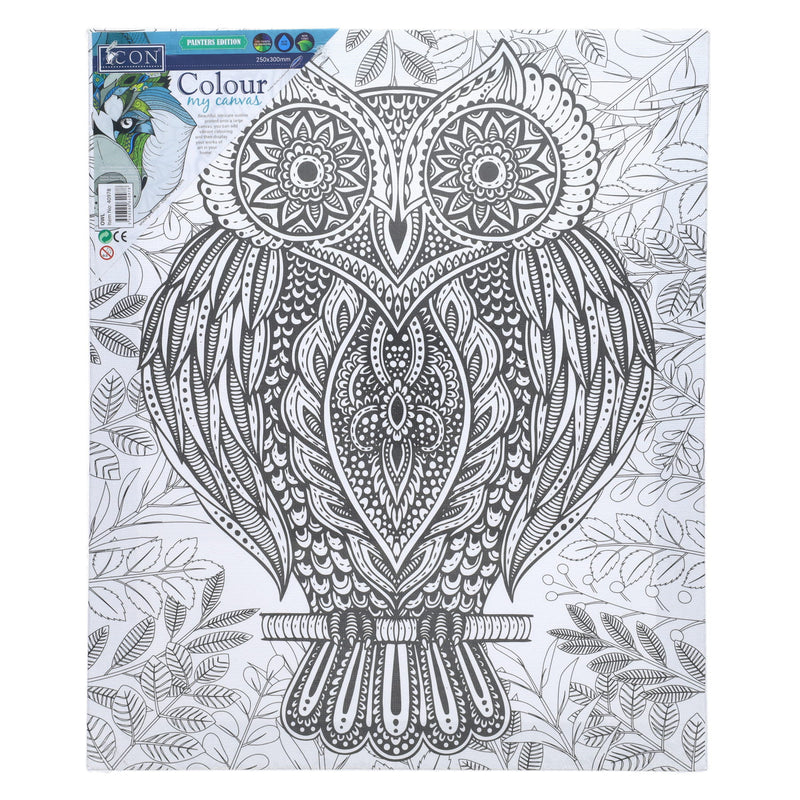 Icon Colour My Canvas - 250x300mm - Owl