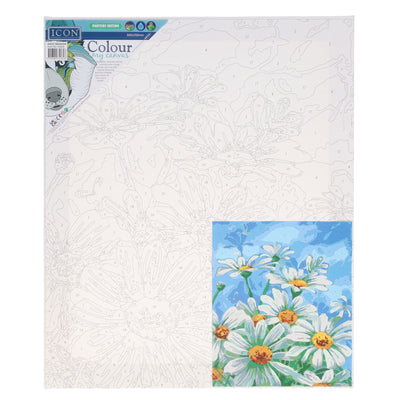 icon-paint-by-numbers-canvas-300x250mm-daisy-meadow|Stationery Superstore UK