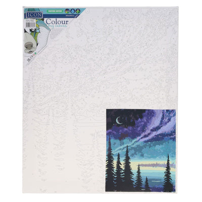 icon-paint-by-numbers-canvas-300x250mm-night-forest|Stationery Superstore UK
