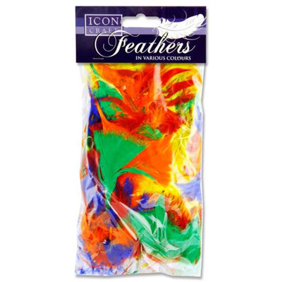 Icon Feathers - Vibrant - 18g Bag-Feathers-Icon|Stationery Superstore UK